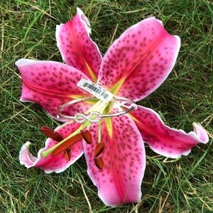 🌴HP🌴Infinity Diamond Sterling Bracelet 8/24/18